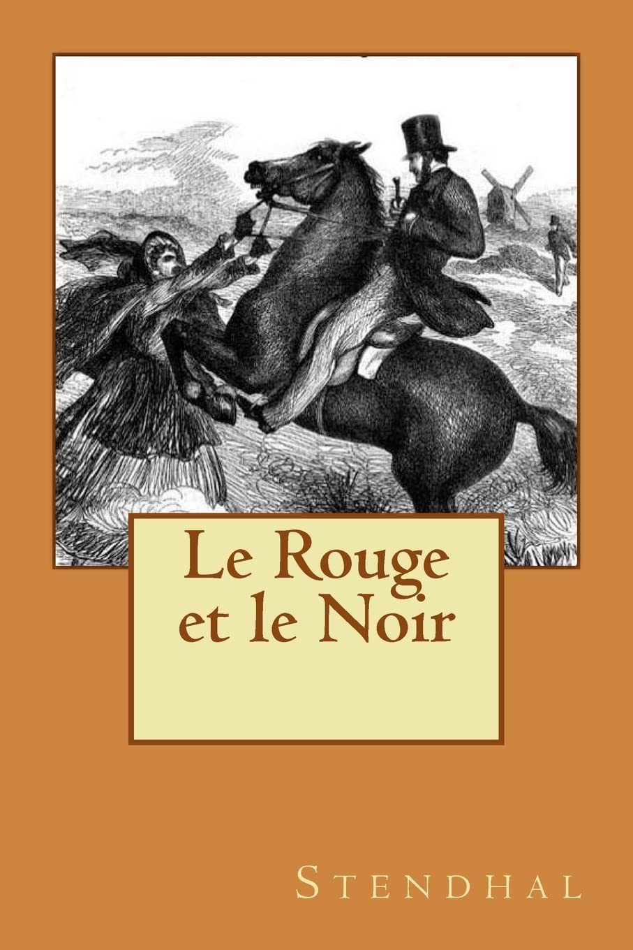 Le Rouge et le Noir (French Edition),Used