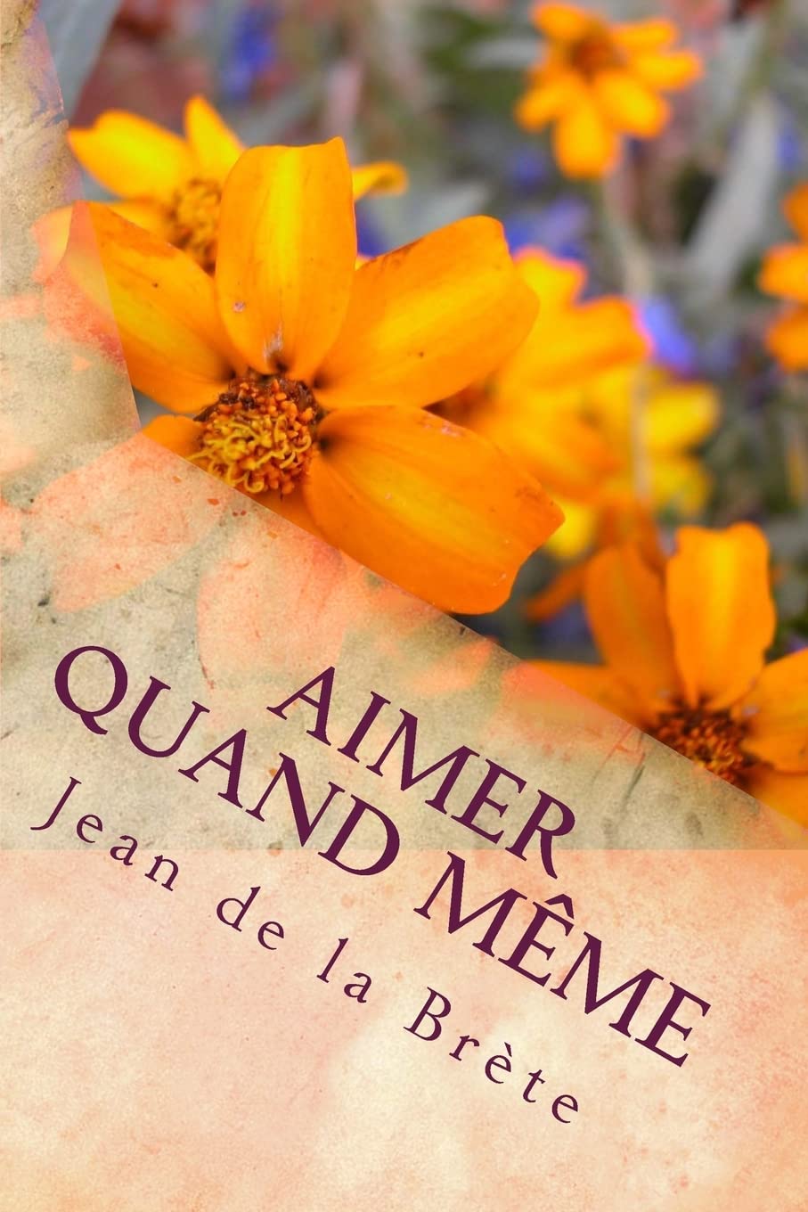 Aimer quand meme (French Edition),Used