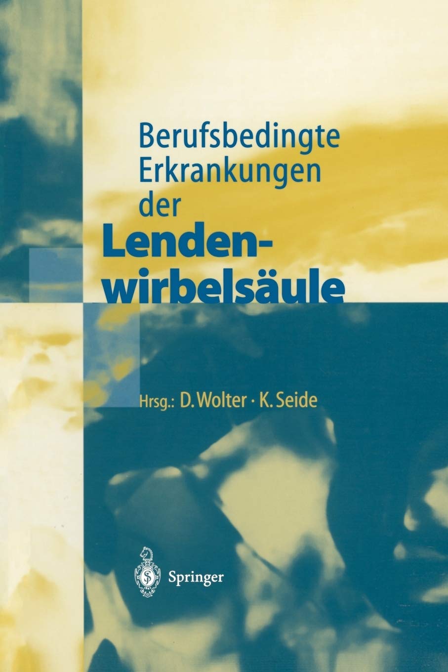 Berufsbedingte Erkrankungen der Lendenwirbelsule (German Edition),Used
