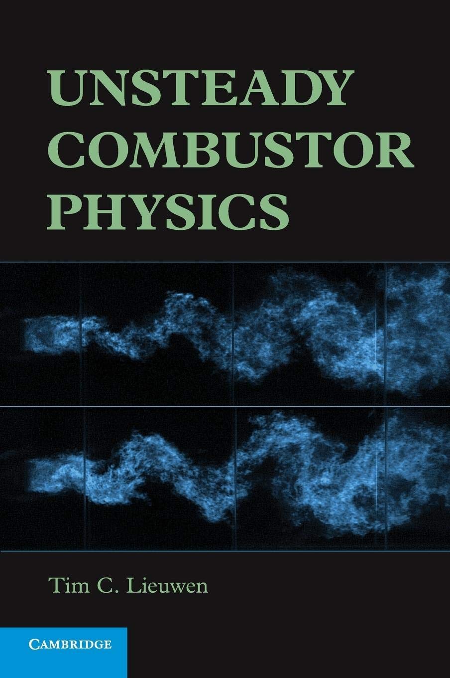 Unsteady Combustor Physics,New