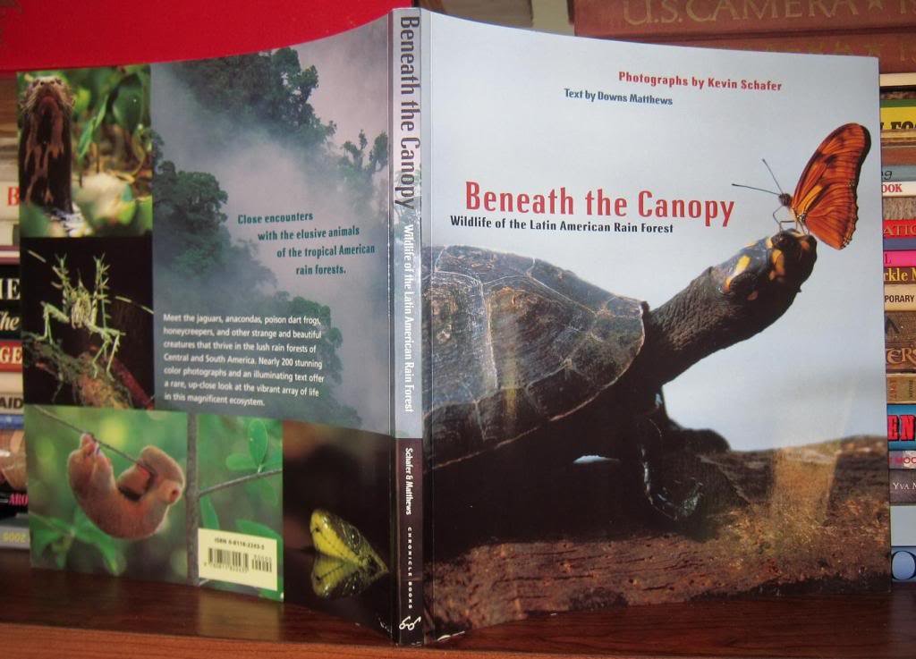 Beneath the Canopy: Wildlife of the Latin American Rain Forest,Used