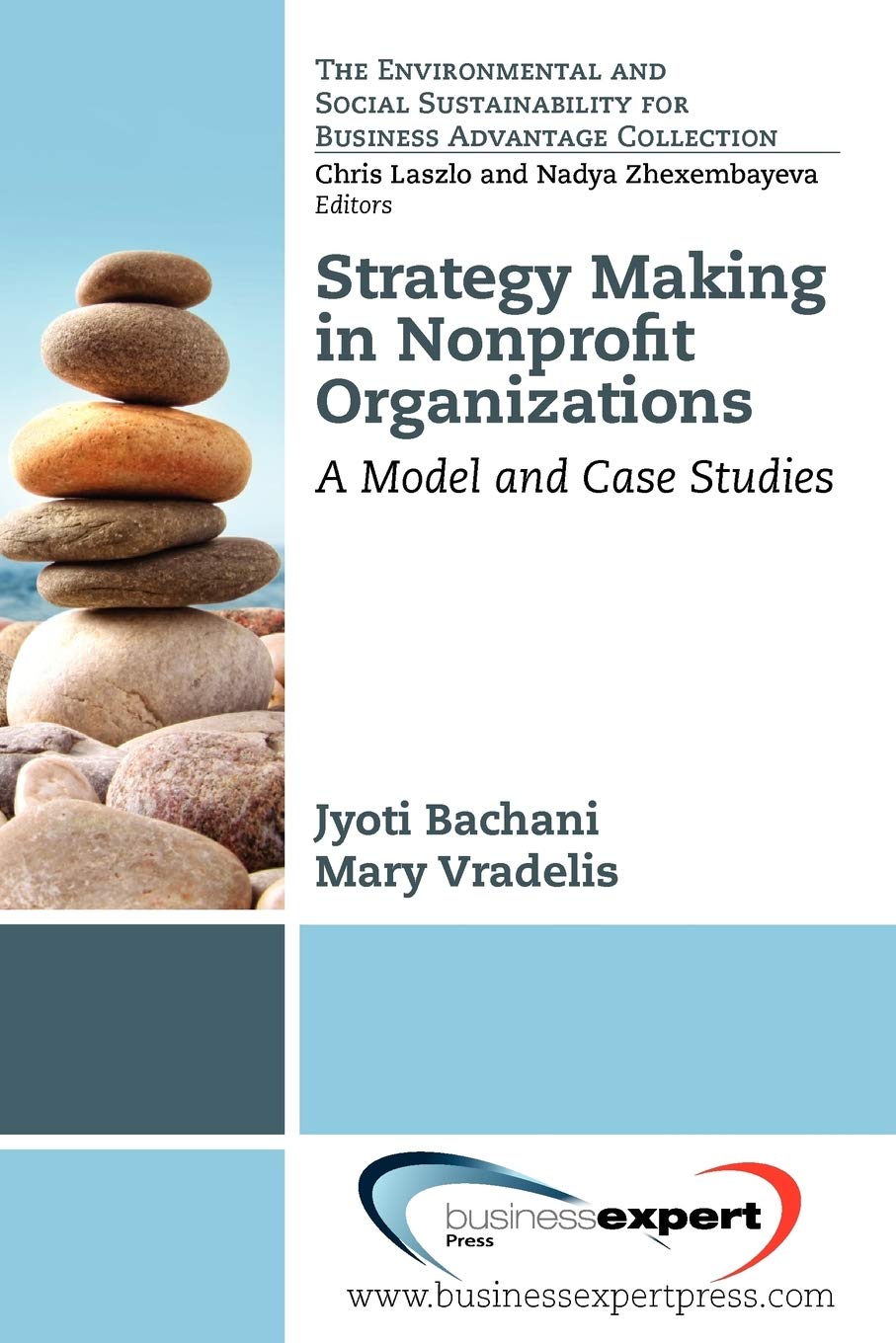 Strategy Making In Nonprofit Organizations (Environmental And Social Sustainability For Business Advanta),Used