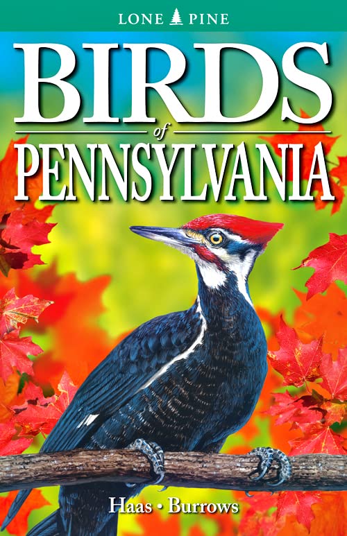 Birds Of Pennsylvania