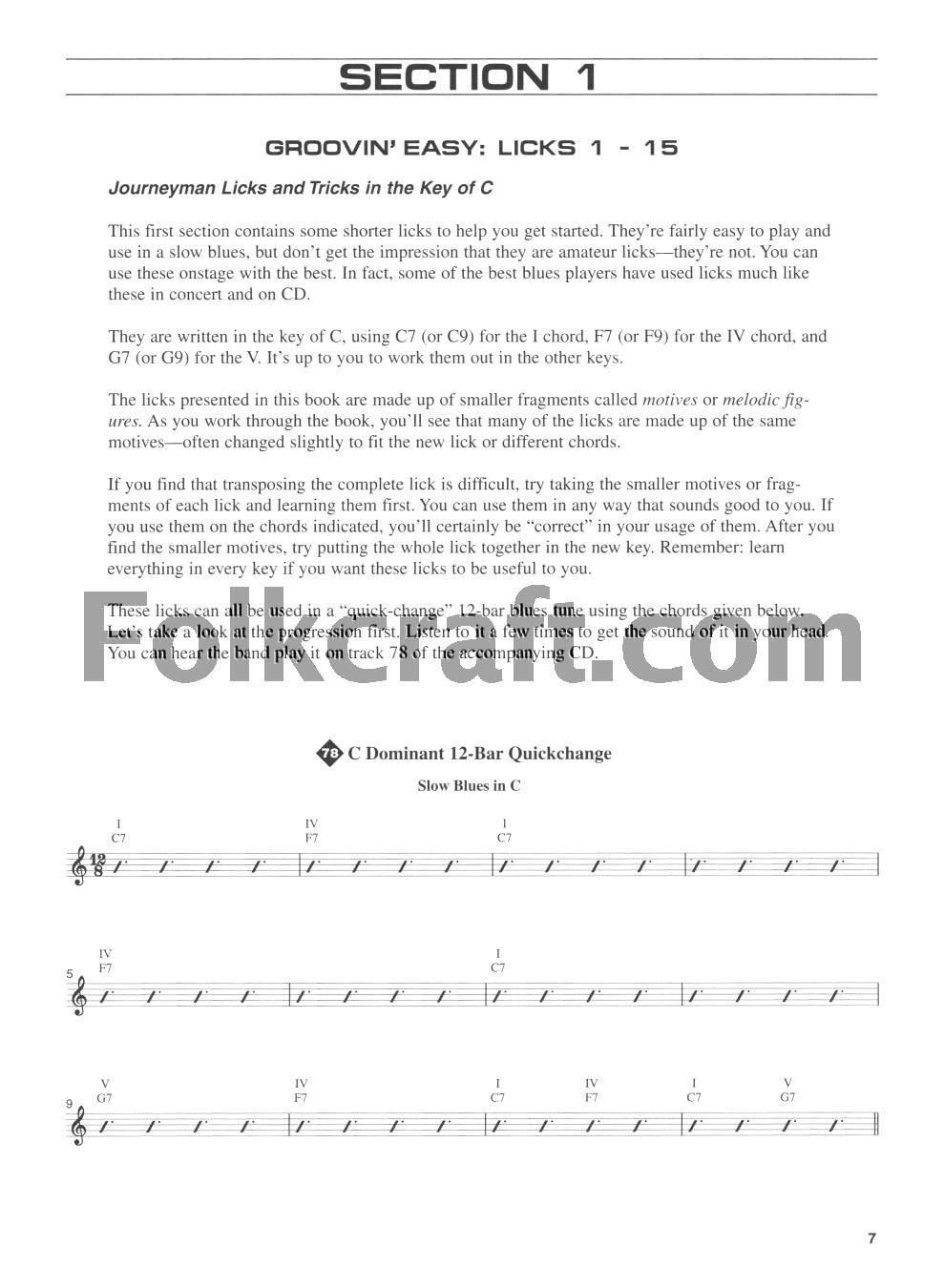Blues Licks You Can Use,Used