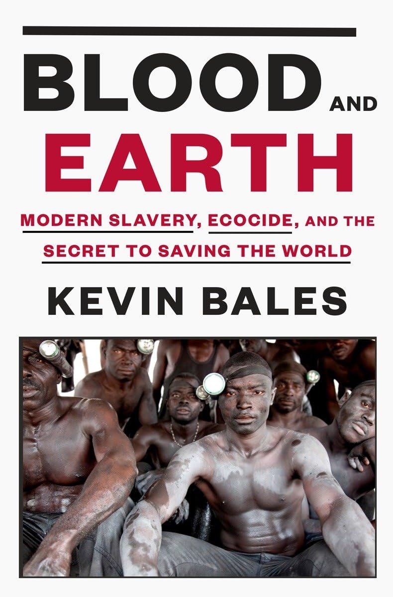 Blood And Earth: Modern Slavery, Ecocide, And The Secret To Saving The World,New