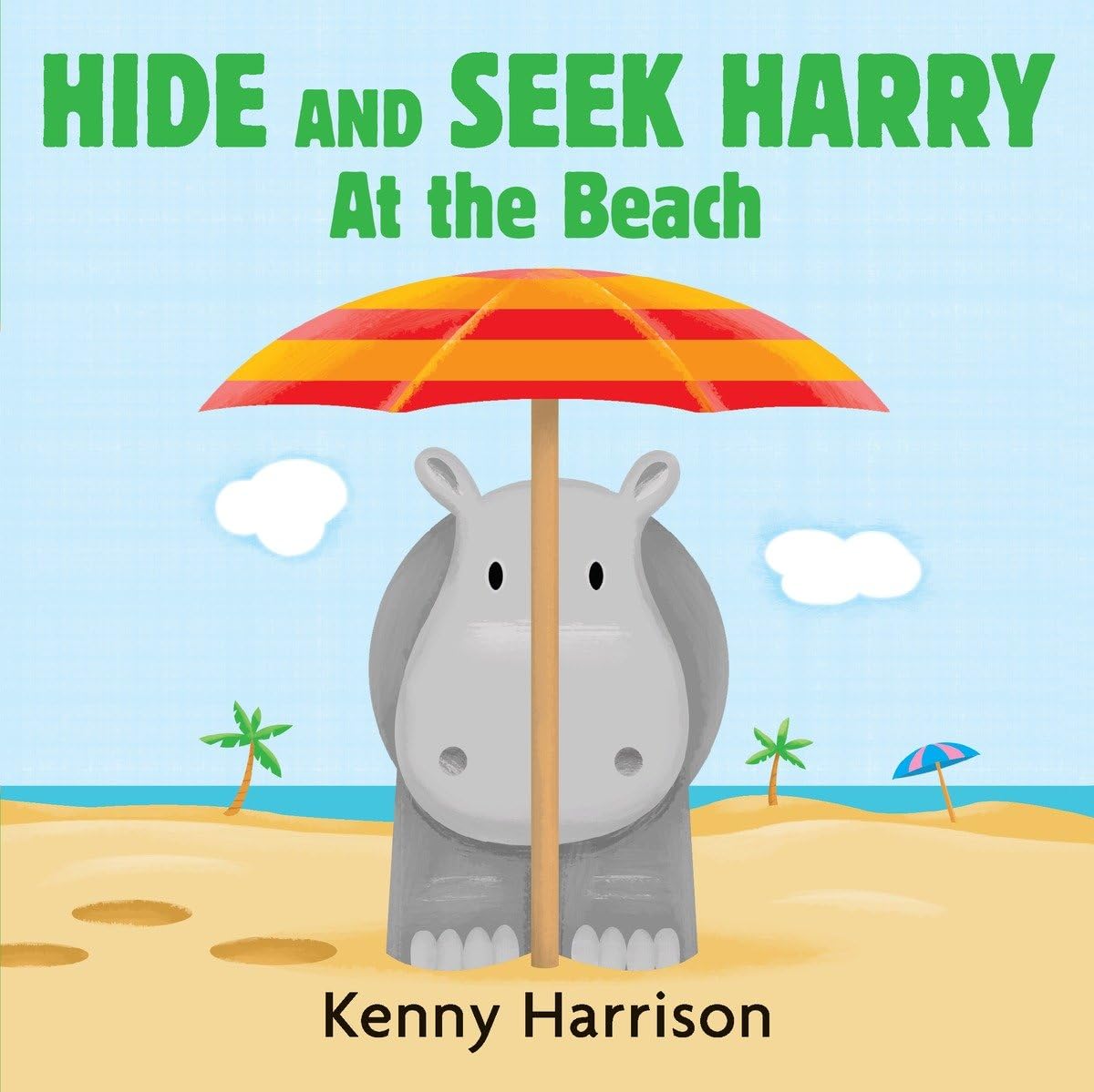 Hide And Seek Harry At The Beach (Hide And Seek Harry Boardbooks),New