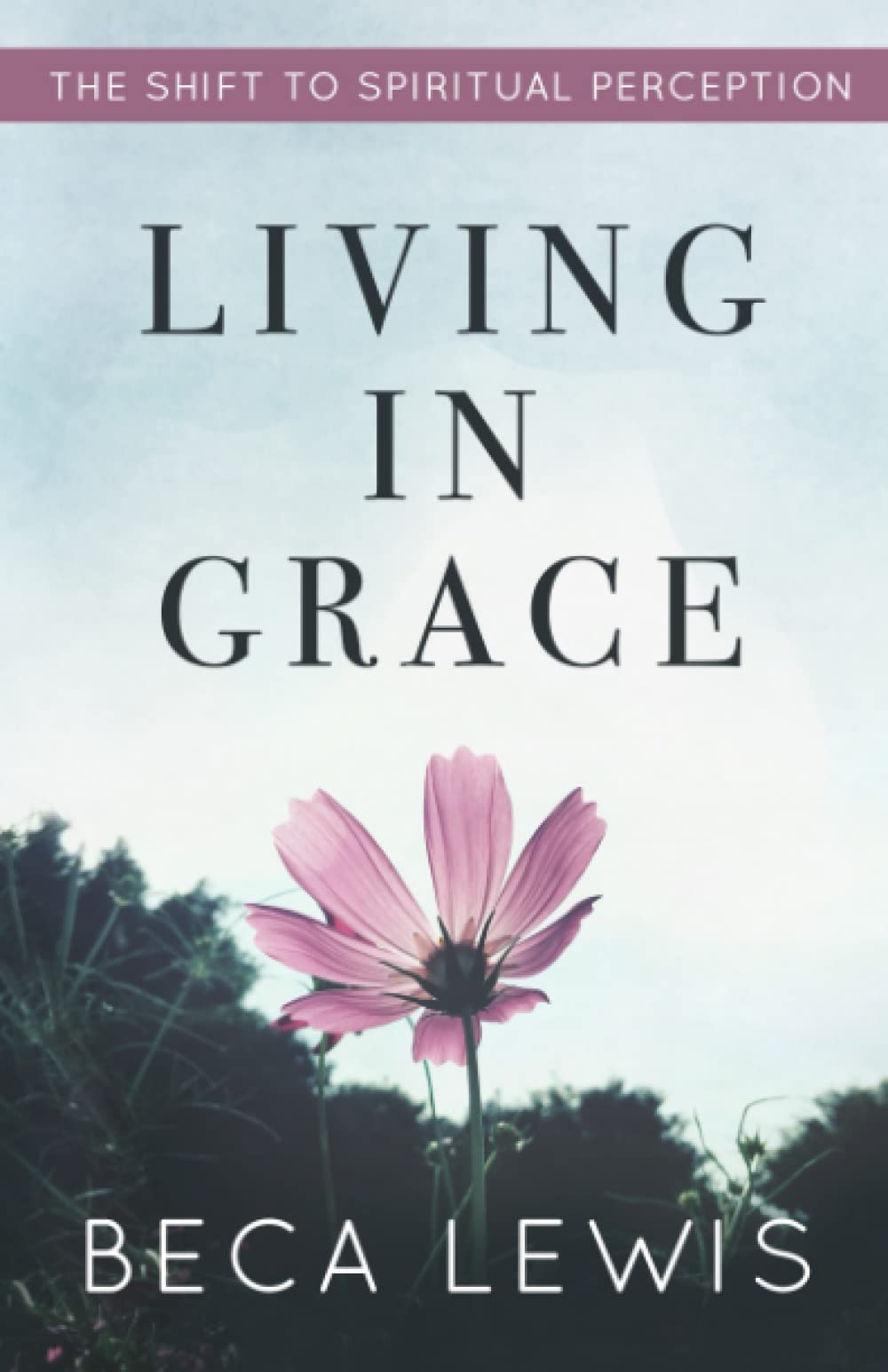 Living In Grace: The Shift To Spiritual Perception (The Shift Series),Used