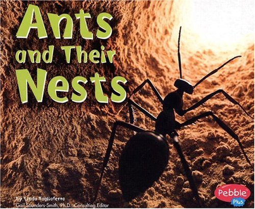 Ants and Their Nests (Pebble Plus),Used