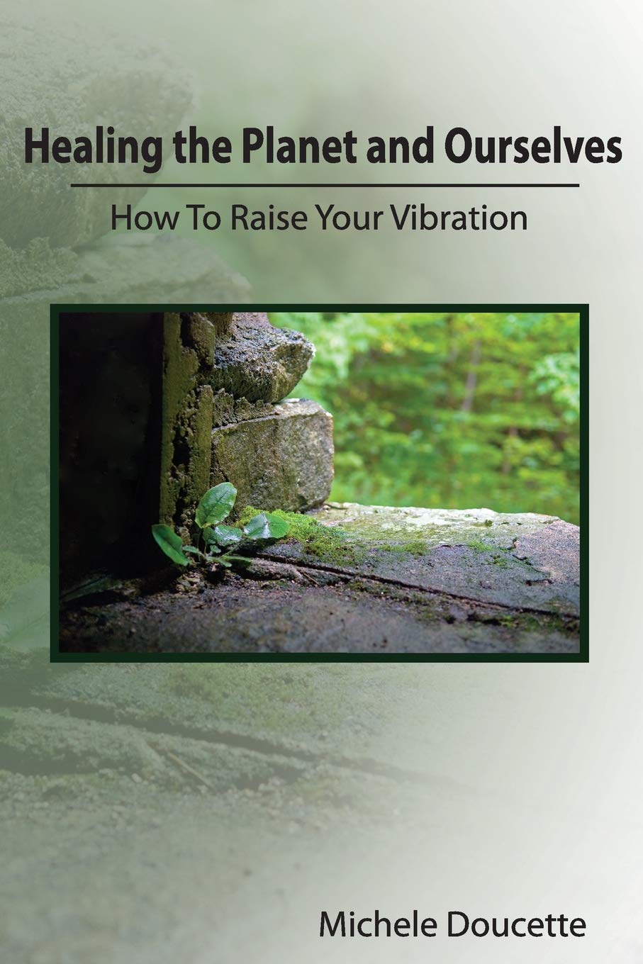 Healing the Planet and Ourselves: How To Raise Your Vibration,Used
