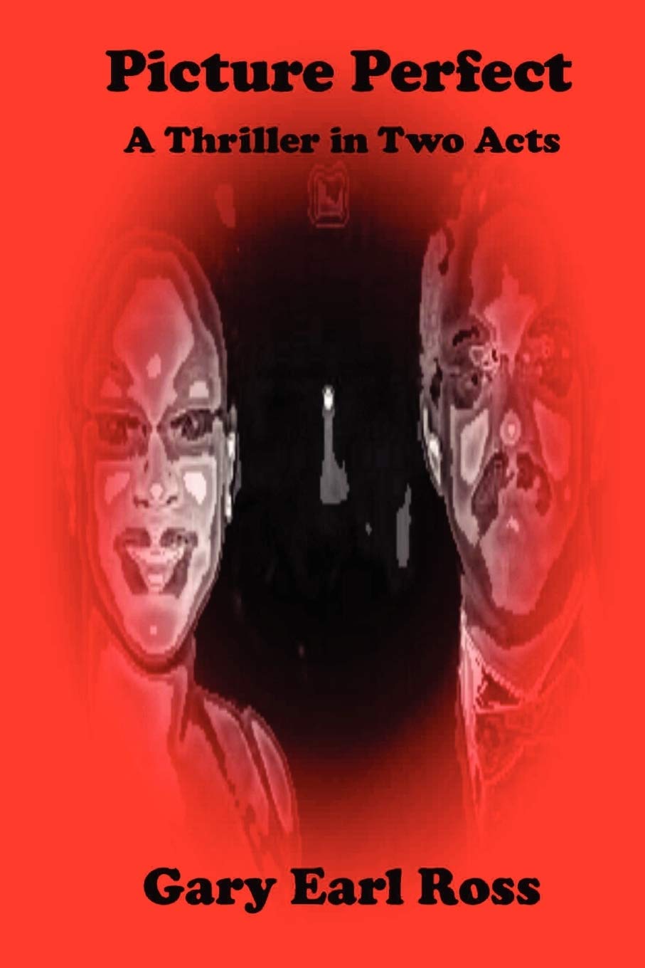 Picture Perfect A Thriller In Two Acts,New