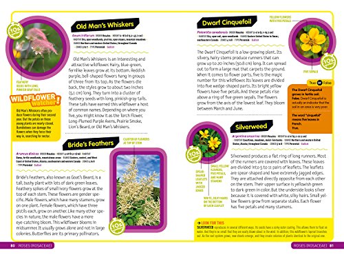 Ultimate Explorer Field Guide: Wildflowers,Used