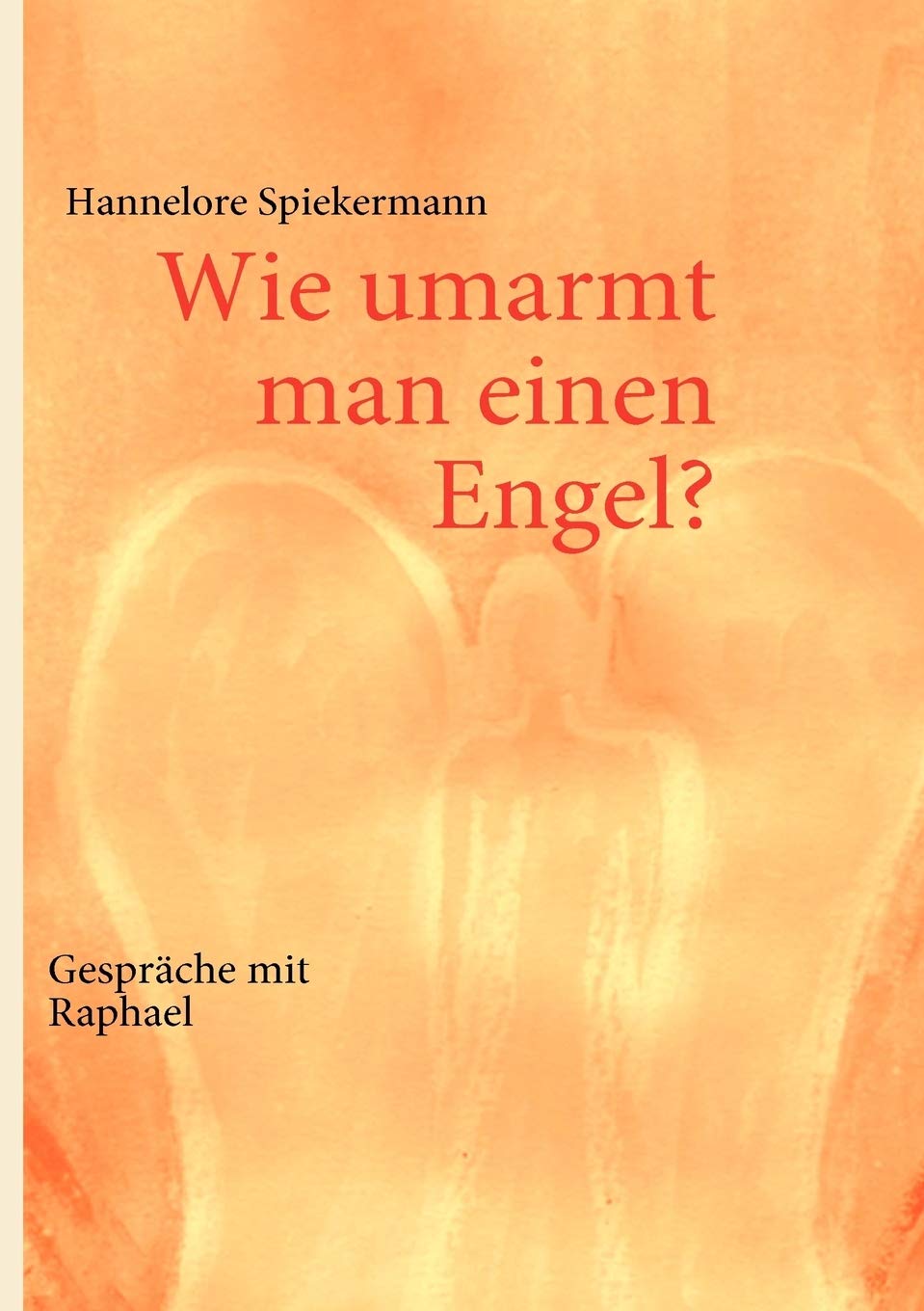 Wie umarmt man einen Engel?: Gesprche mit Raphael (German Edition),Used