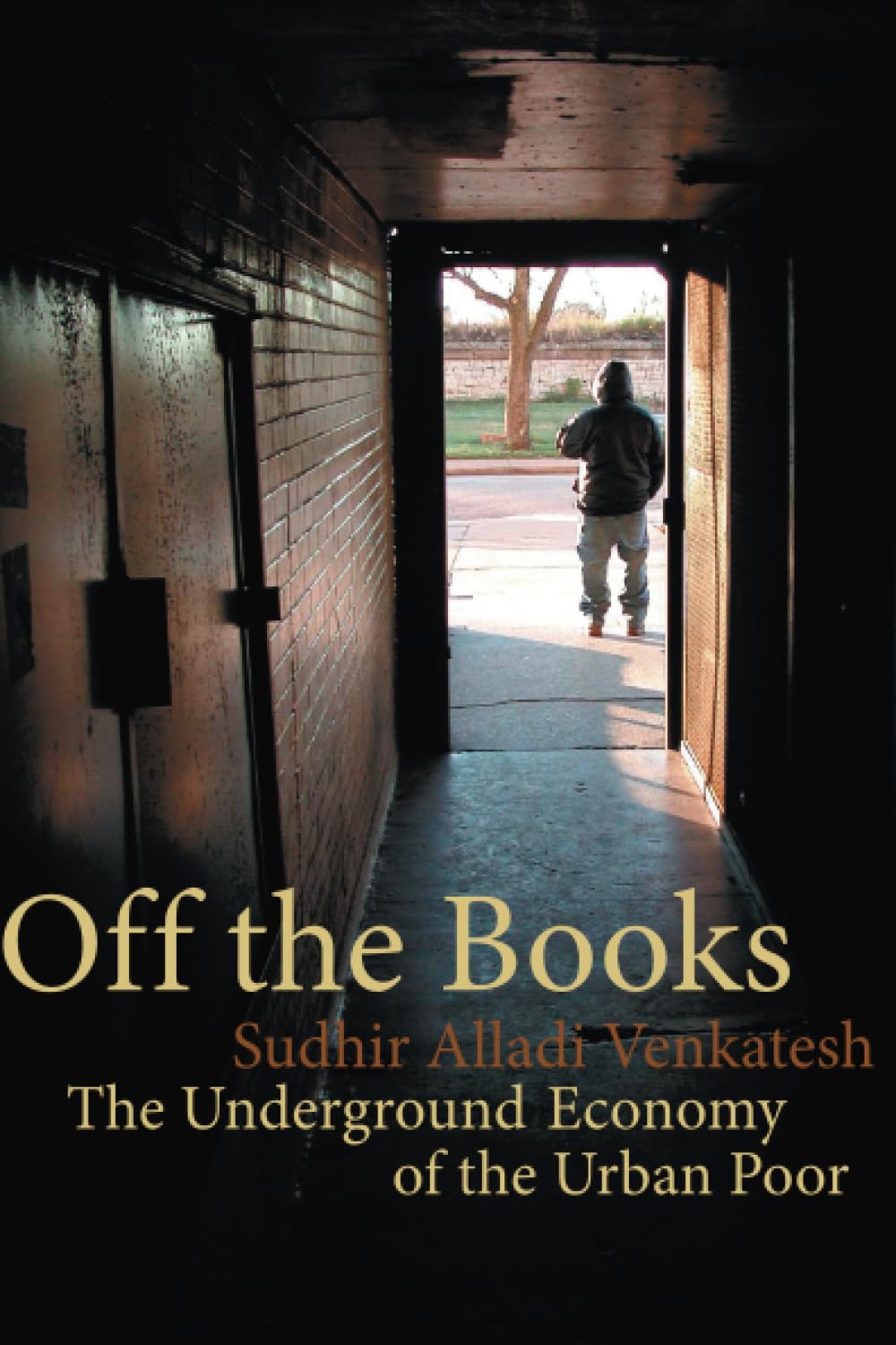 Off The Books: The Underground Economy Of The Urban Poor,New
