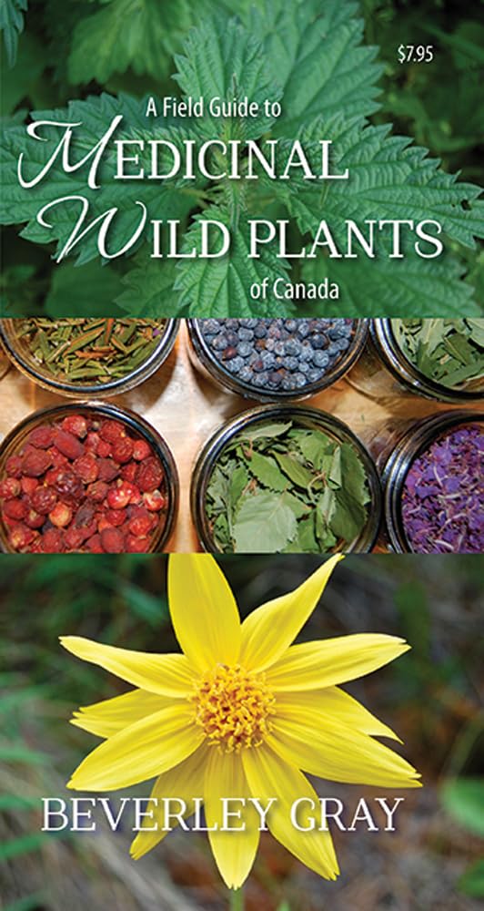 A Field Guide To Medicinal Wild Plants Of Canada,Used