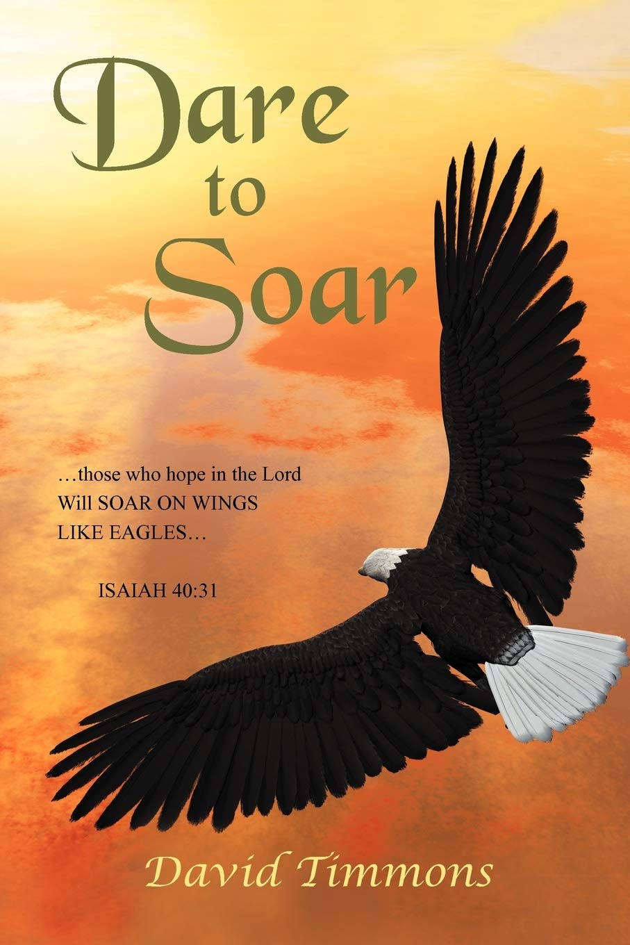 Dare To Soar,Used