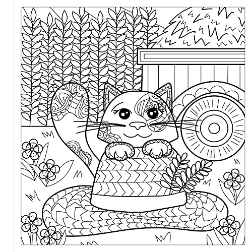 Zendoodle Colorscapes: Calming Kitties: Cozy Cats to Color and Display,Used