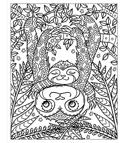 Zendoodle Coloring: Sleepy Sloths: Calm Creatures to Color and Display,Used