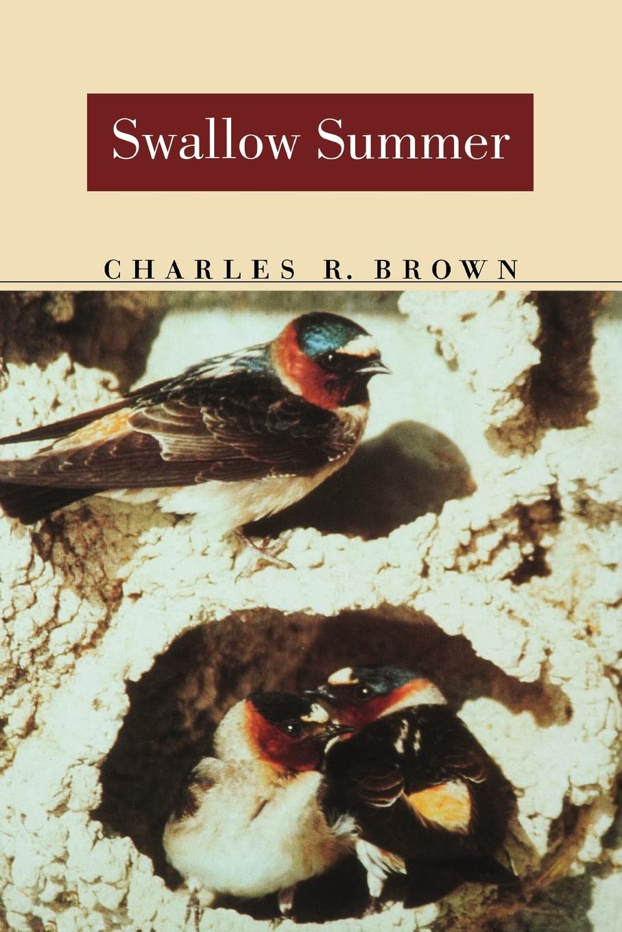 Swallow Summer (Bison Book),Used