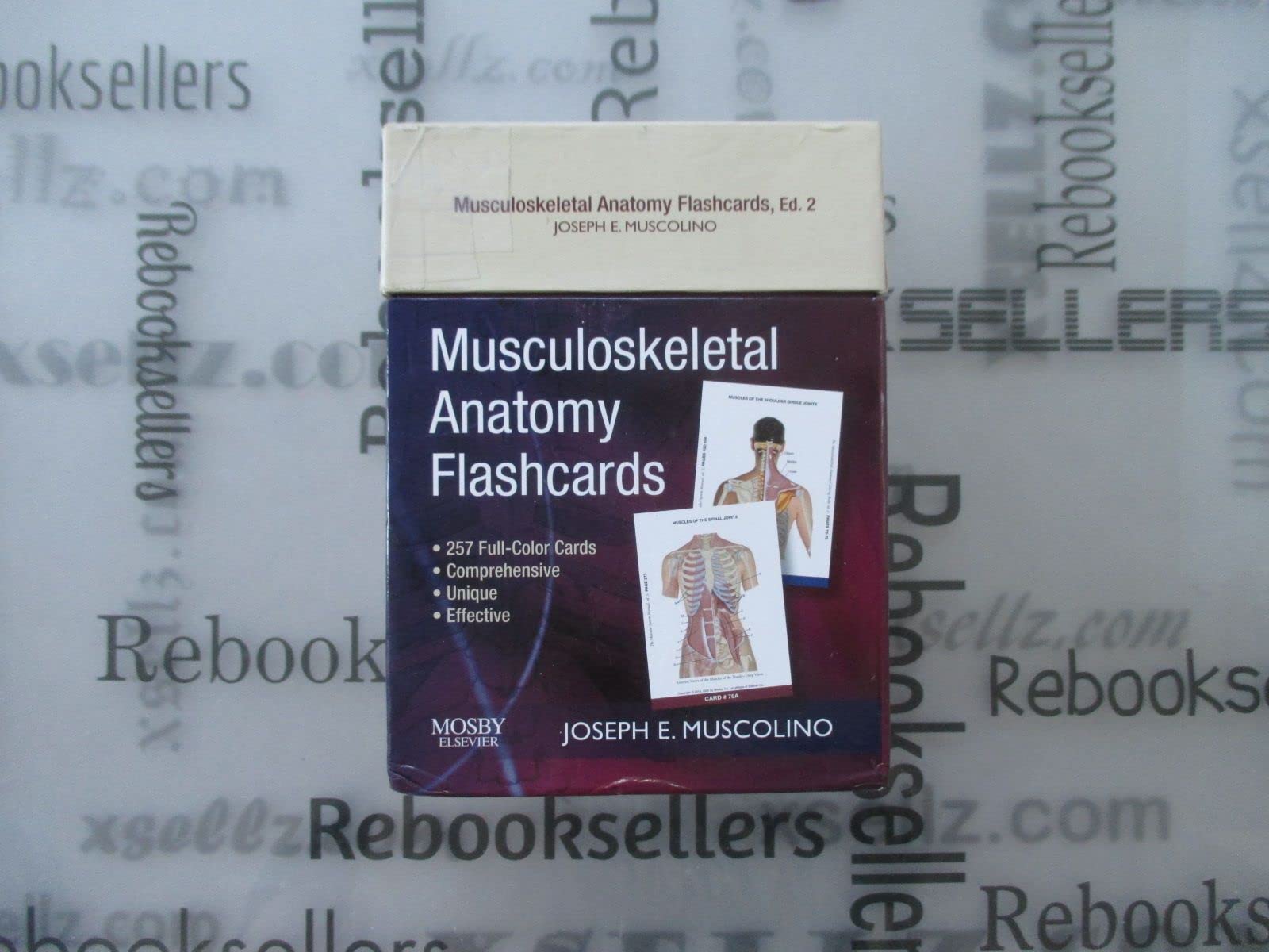 Musculoskeletal Anatomy Flashcards,Used