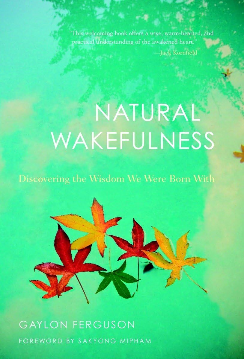 Natural Wakefulness: Discovering the Wisdom We Were Born With,Used