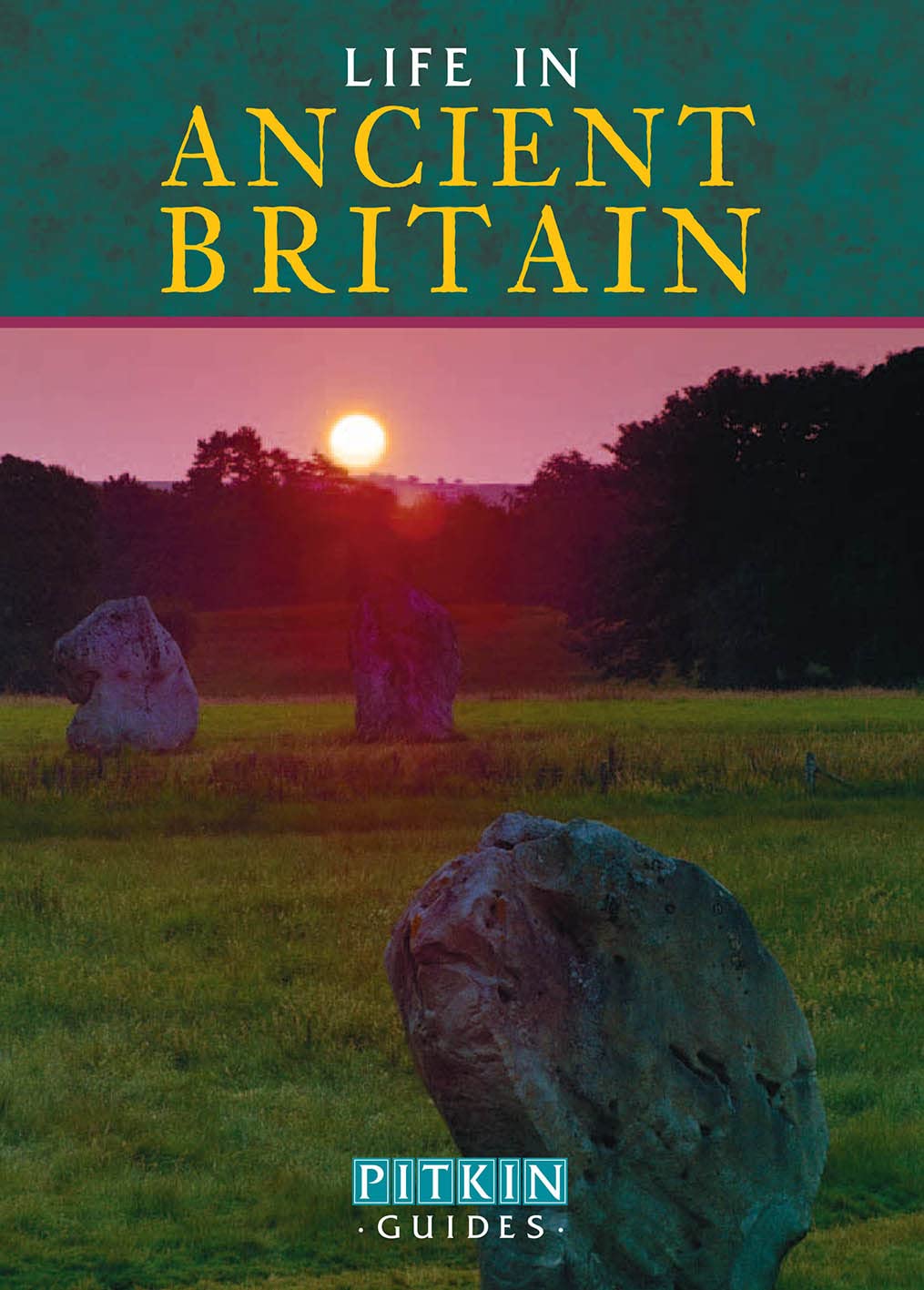 Life In Ancient Britain,Used