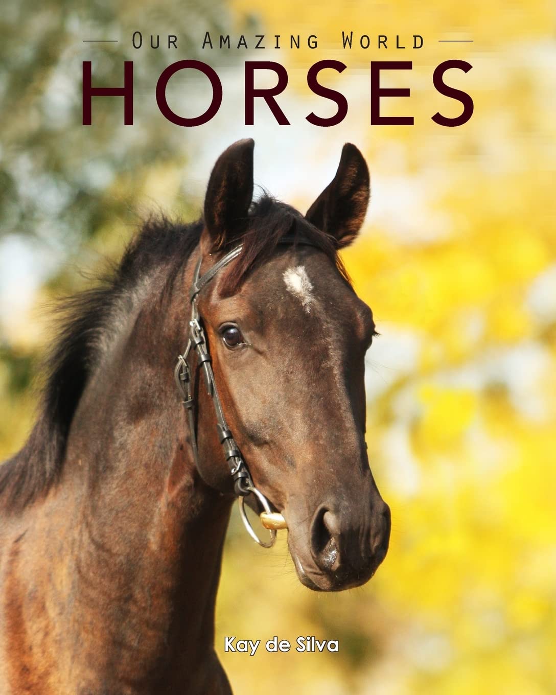 Horses: Amazing Pictures & Fun Facts on Animals in Nature (Our Amazing World Series),Used
