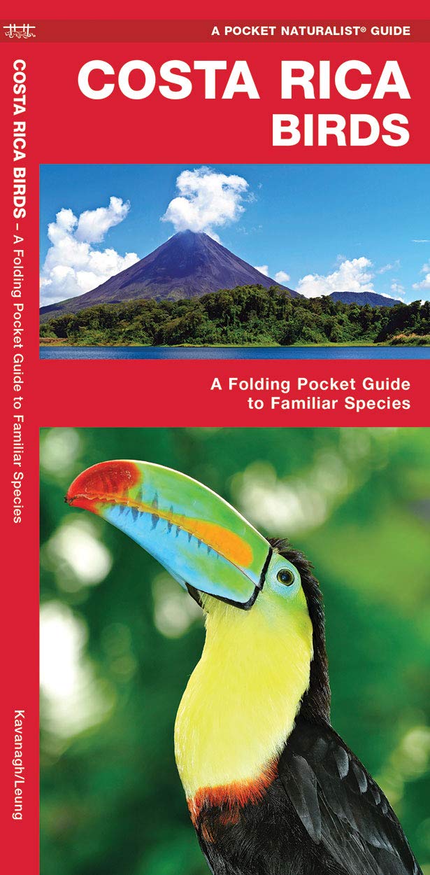 Costa Rica Birds: A Folding Pocket Guide to Familiar Species (A Pocket Naturalist Guide),Used