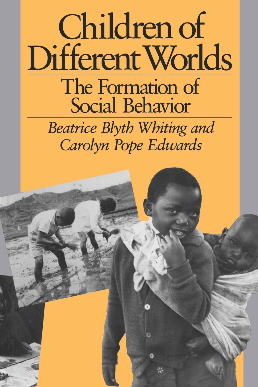 Children of Different Worlds: The Formation of Social Behavior,Used