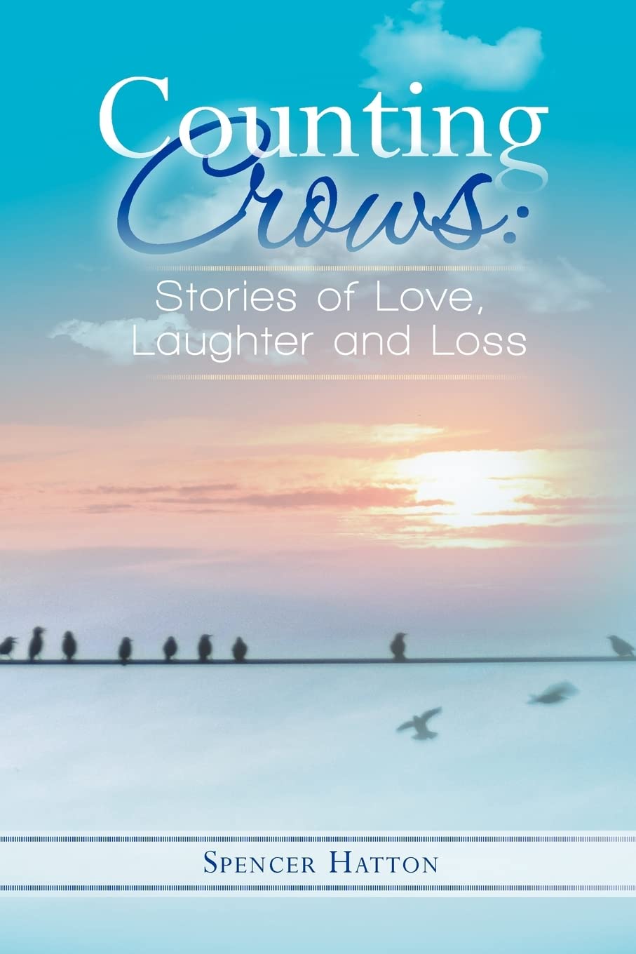 Counting Crows: Stories Of Love, Laughter And Loss,Used