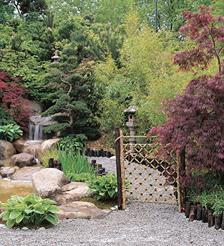Serene Gardens: Creating Japanese Design and Detail in the Western Garden (IMM Lifestyle Books) Practical Introduction to the Tr,Used