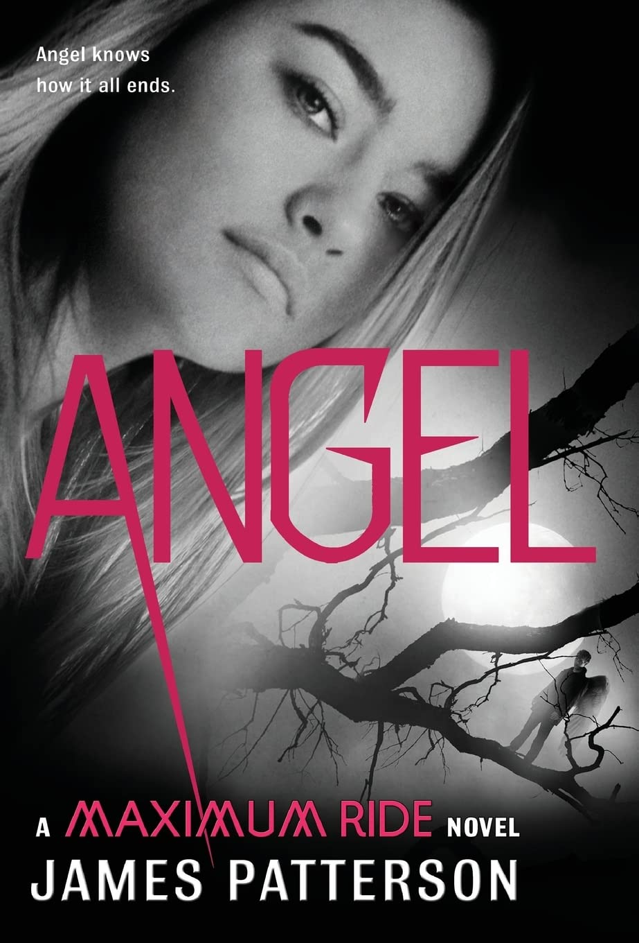 Angel: A Maximum Ride Novel (Maximum Ride, 7),New