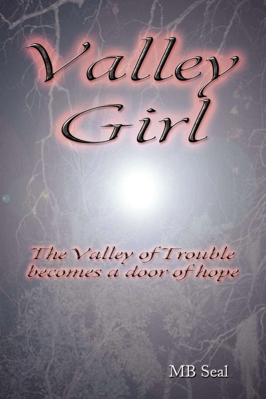 Valley Girl: The Valley of Trouble Becomes the Door of Hope,Used