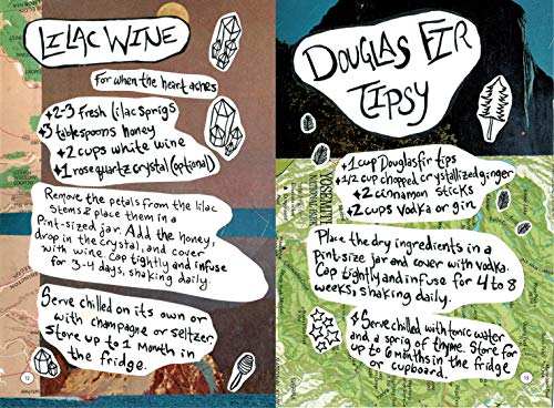 Blotto Botany: A Lesson in Healing Cordials and Plant Magic,Used
