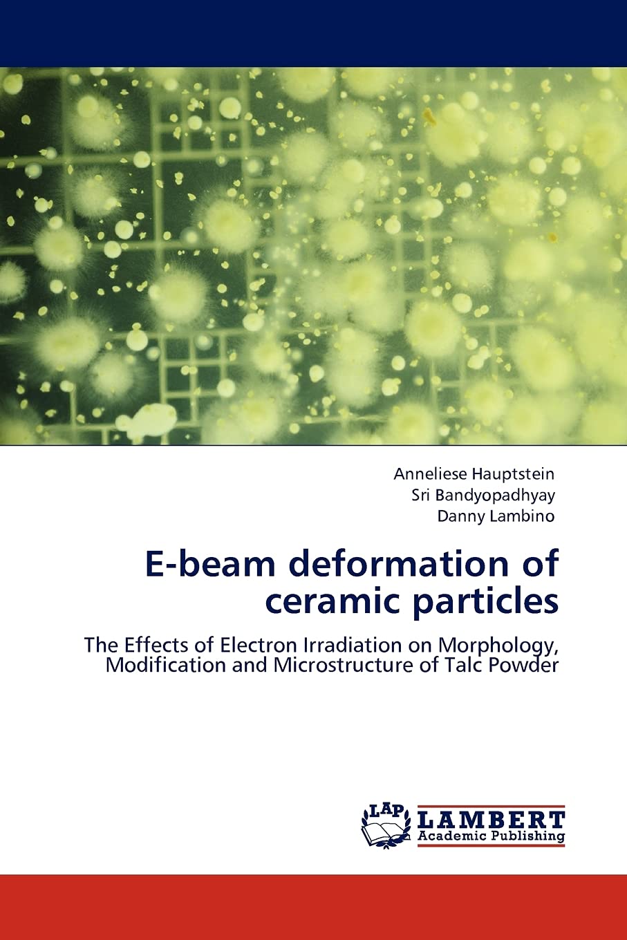 Ebeam deformation of ceramic particles: The Effects of Electron Irradiation on Morphology, Modification and Microstructure of T,Used