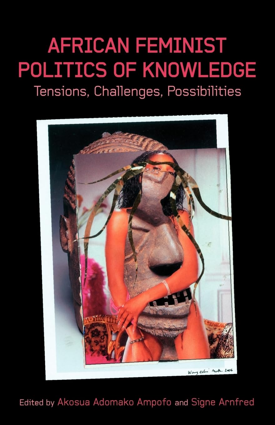 African Feminist Politics of Knowledge: Tensions, Challenges, Possibilities,Used