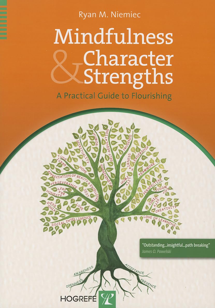 Mindfulness and Character Strengths: A Practical Guide to Flourishing,Used
