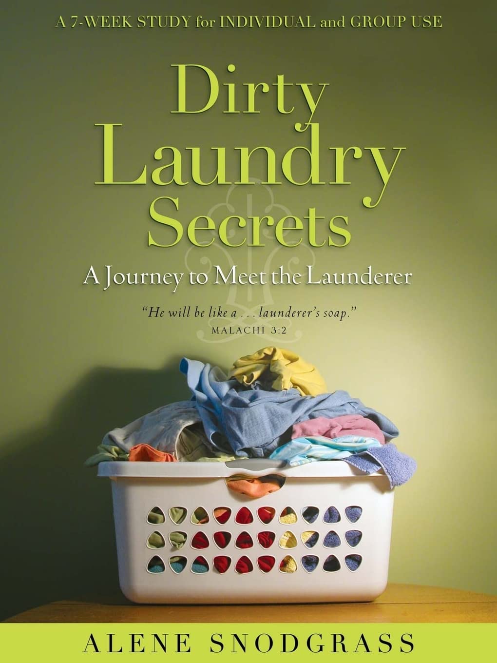 Dirty Laundry Secrets,Used