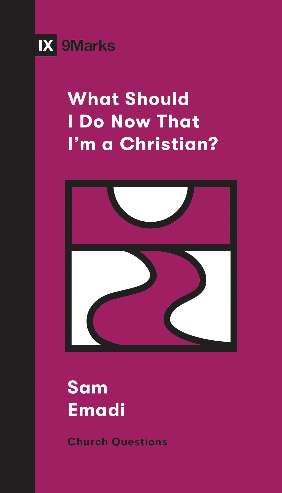 What Should I Do Now That I'm a Christian? (Church Questions),Used