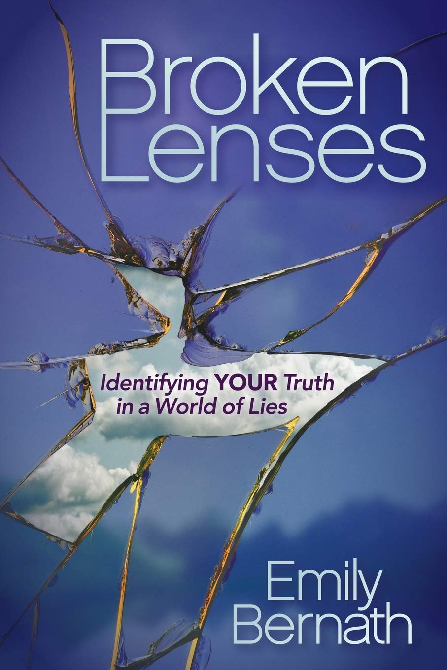 Broken Lenses: Identifying Your Truth in a World of Lies,Used
