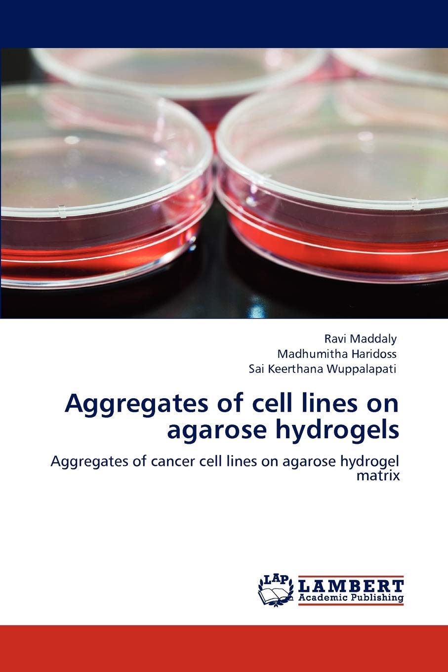 Aggregates of cell lines on agarose hydrogels: Aggregates of cancer cell lines on agarose hydrogel matrix,Used