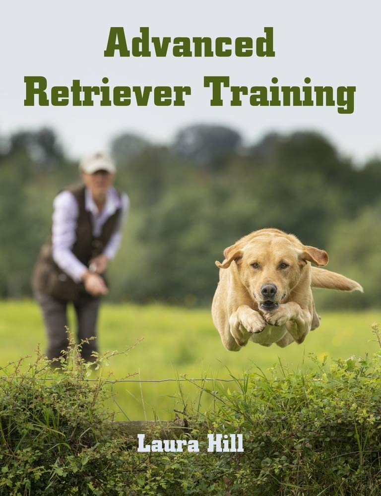 Advanced Retriever Training,Used