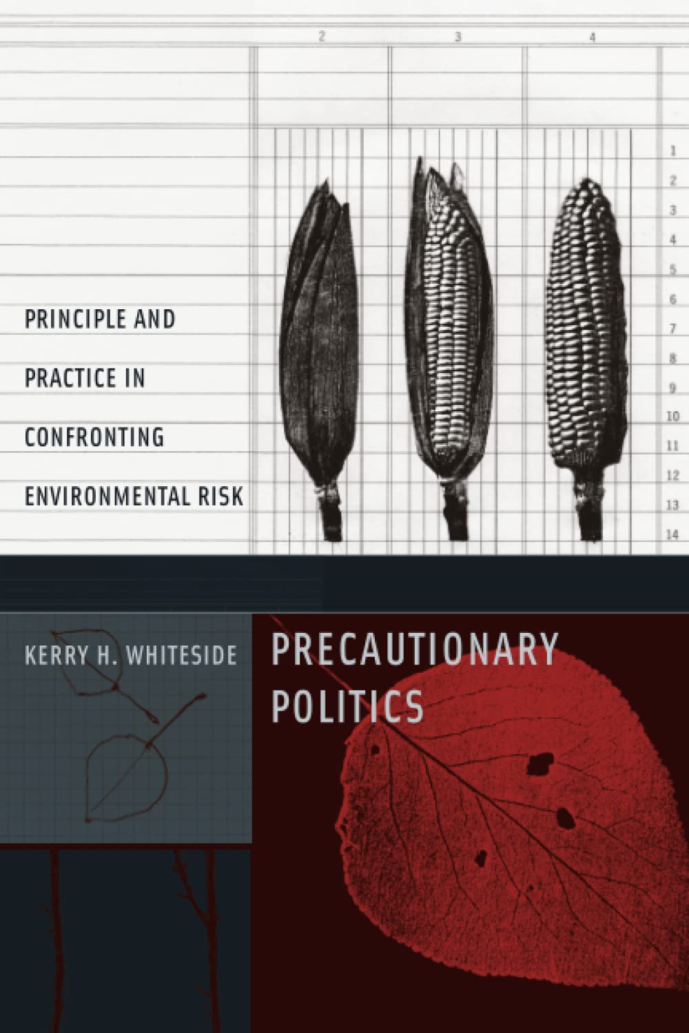 Precautionary Politics: Principle and Practice in Confronting Environmental Risk (Urban And Industrial Environments),Used