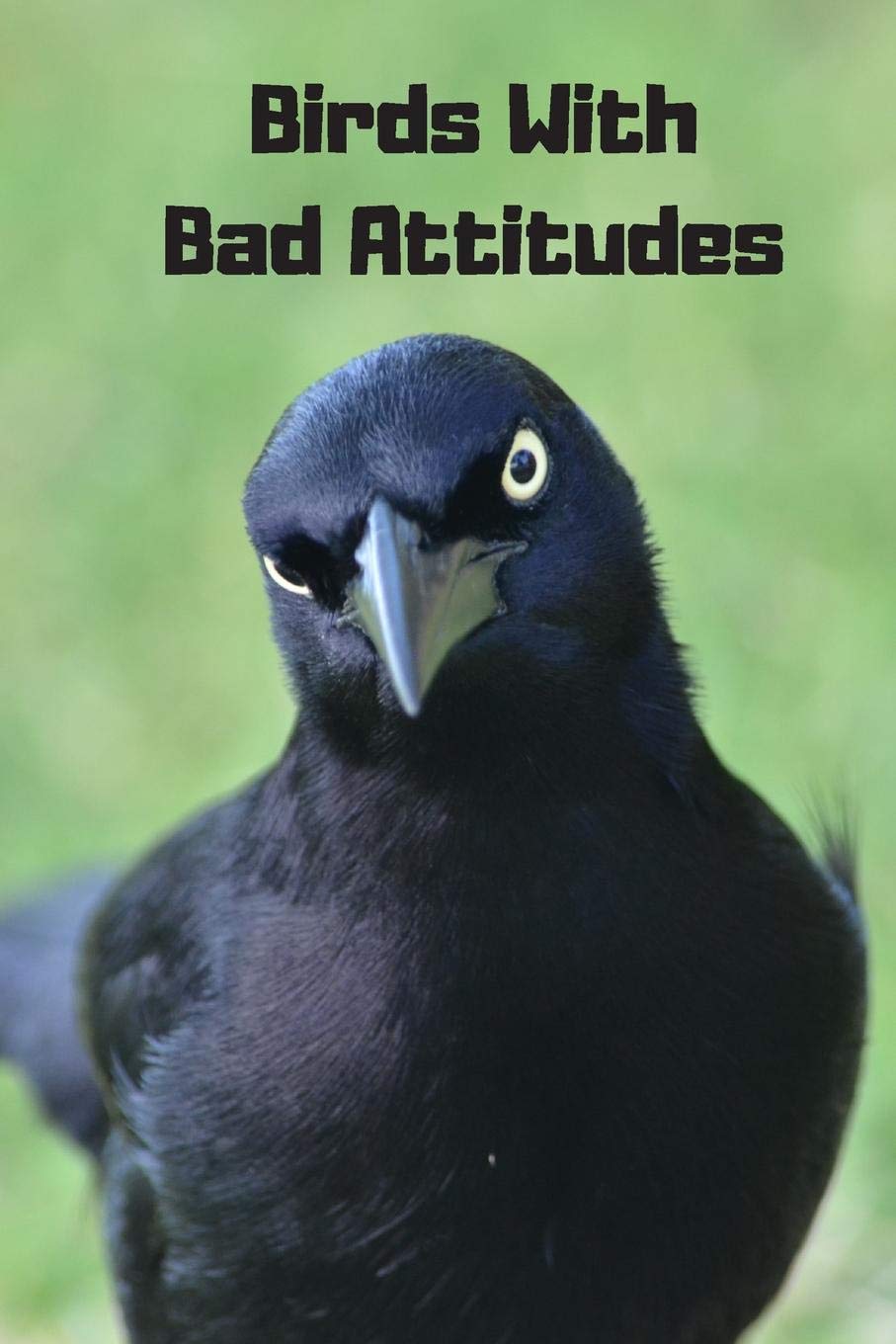 Birds With Bad Attitudes: Password Logbook With Encryption Cipher (A True Discreet Password Keeper, No Words On Spine),New
