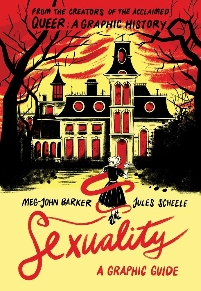 Sexuality: A Graphic Guide (Graphic Guides)