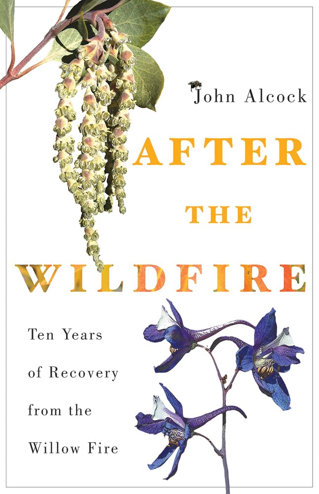 After The Wildfire: Ten Years Of Recovery From The Willow Fire,New