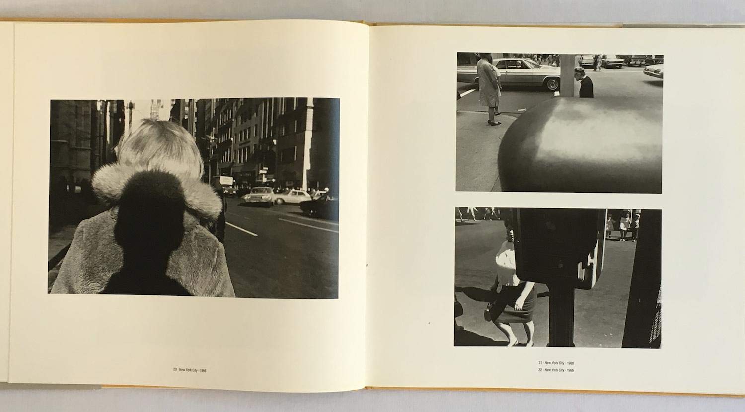 Like a OneEyed Cat: Photographs by Lee Friedlander : 19561987,Used