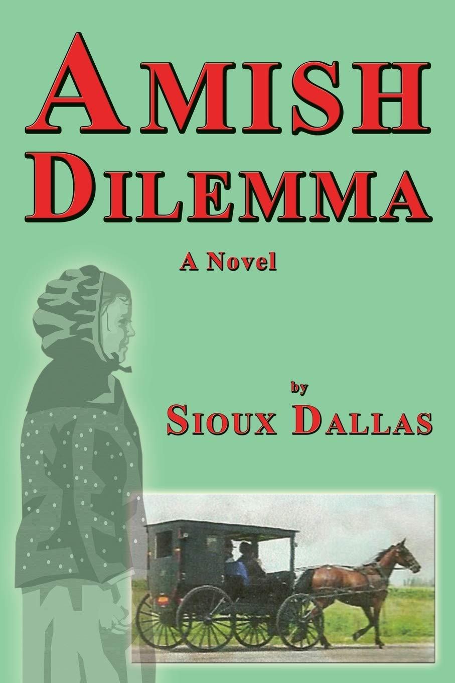 Amish Dilemma,Used