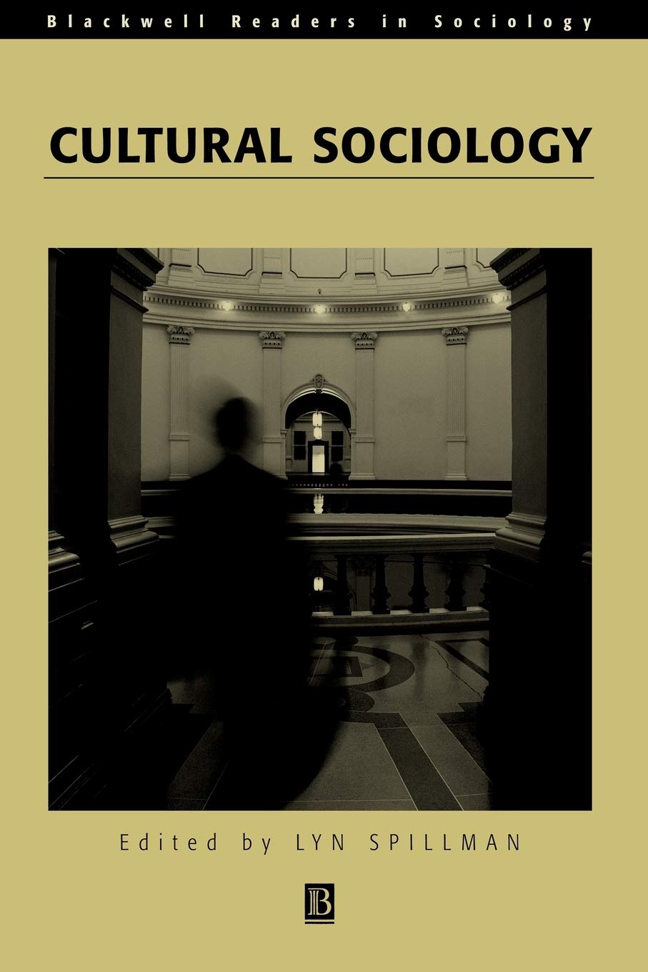 Cultural Sociology,Used