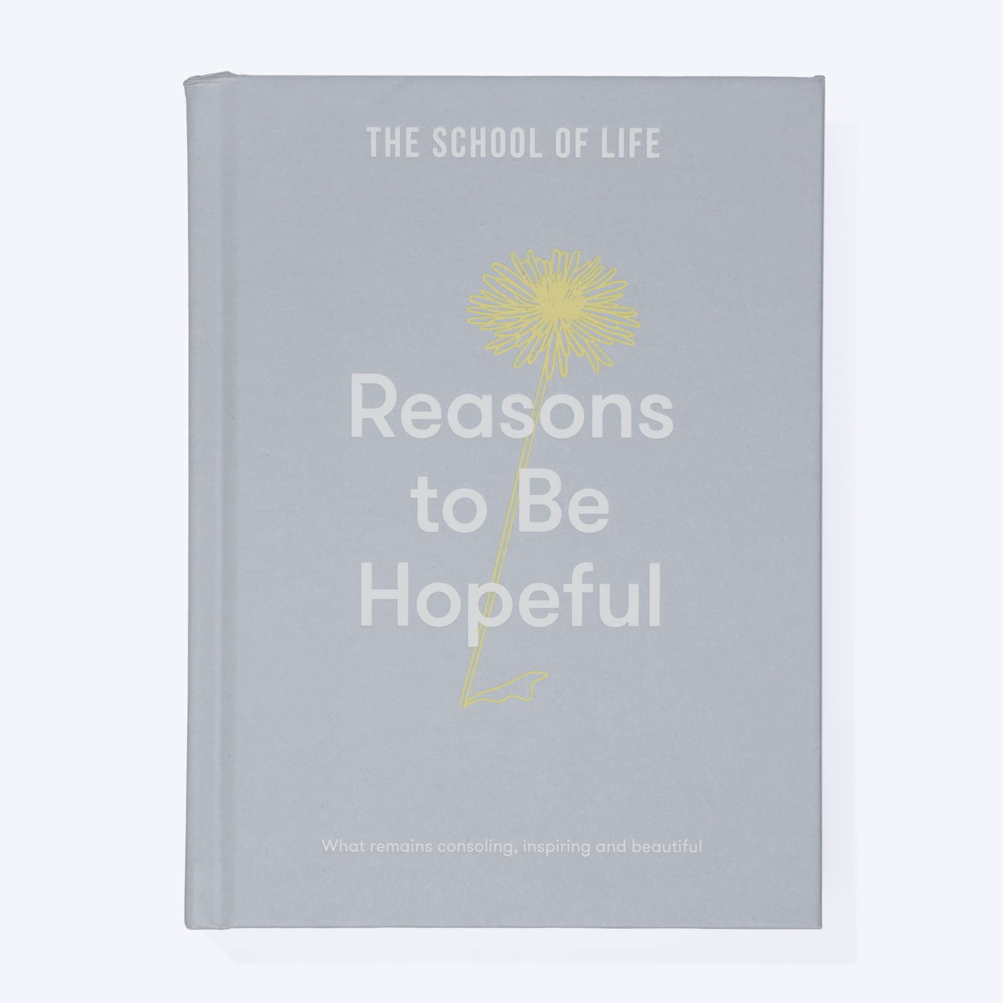 Reasons To Be Hopeful: What Remains Consoling, Inspiring And Beautiful,Used