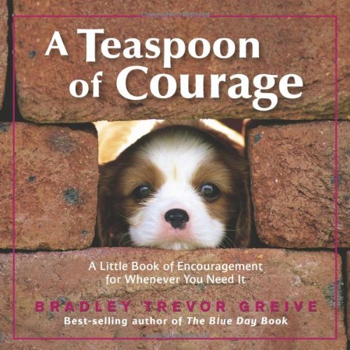 A Teaspoon Of Courage: A Little Book Of Encouragement For Whenever You Need It,New